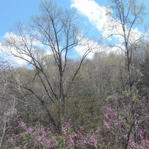 Meet your Posher, Mandy